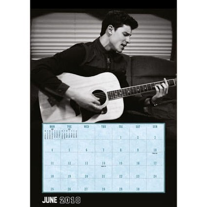 Shawn Mendes Wall Calendars 2022 Large Selection