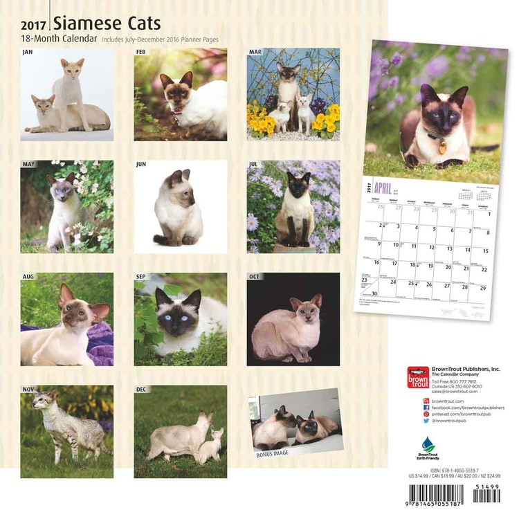 Calendar 2021 Siamese Cats