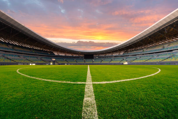 Плакат soccer field