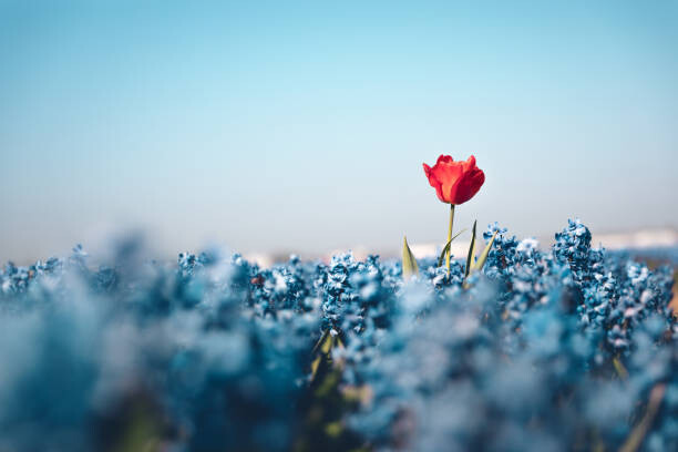 Μπλουζάκι Standing Out From The Crowd