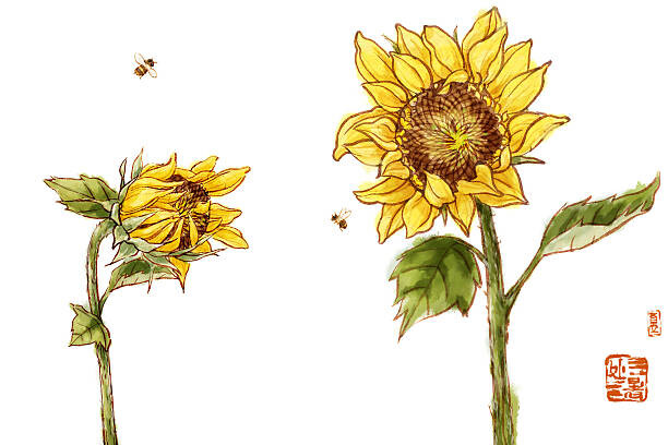 Sticker Sunflowers