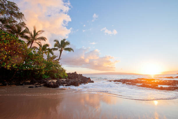Αυτοκόλλητο sunset hawaii beach