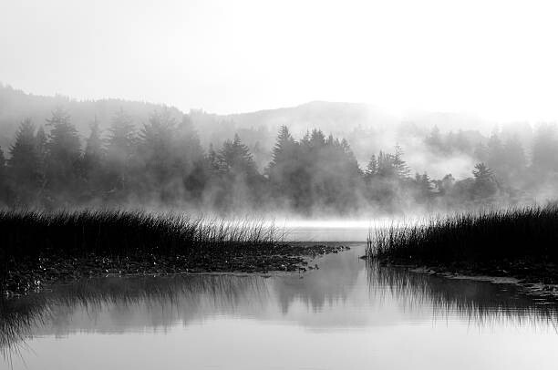 Αυτοκόλλητο Sutton Lake
