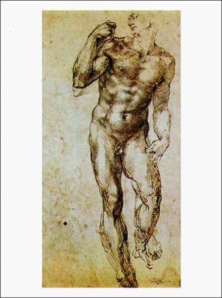 Michelangelo Studio Di Nudo Juliste Taulu Europosters Fi