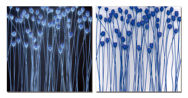 Abstraction flowers Taulusarja