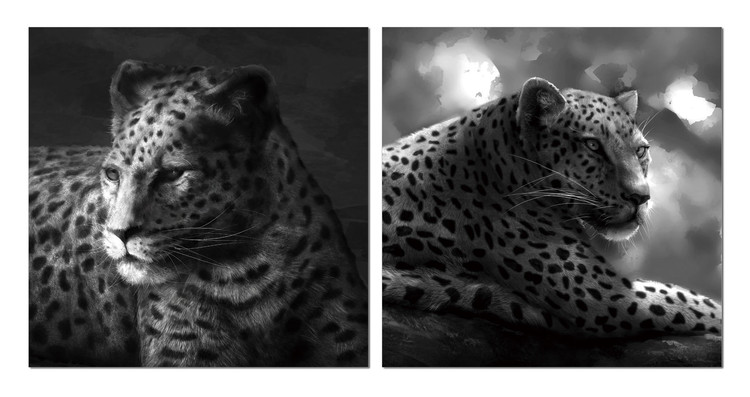 Beast hidden in gray Taulusarja