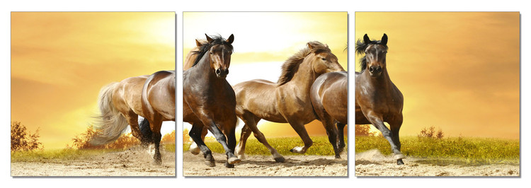 Horses - Running Horses on the Sand Taulusarja