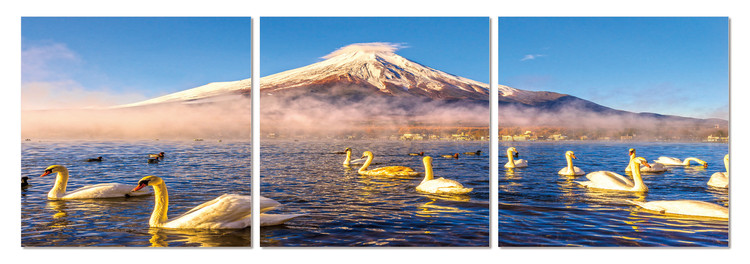 Swans on the lake Taulusarja