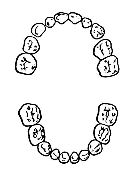 Sticker Teeth