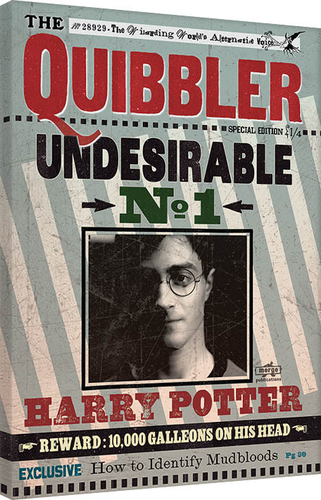 Tela Harry Potter - Quibbler