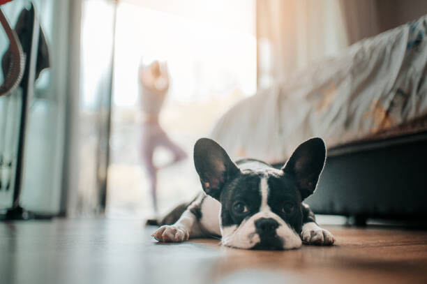 Quadro em tela an asian chinese beautiful woman practicing