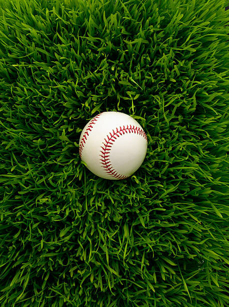 Quadro em tela Baseball in grass