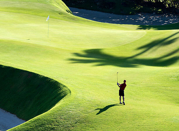 Quadro em tela Golf general view