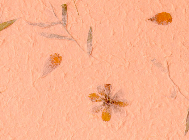 Quadro em tela Mulberry paper background