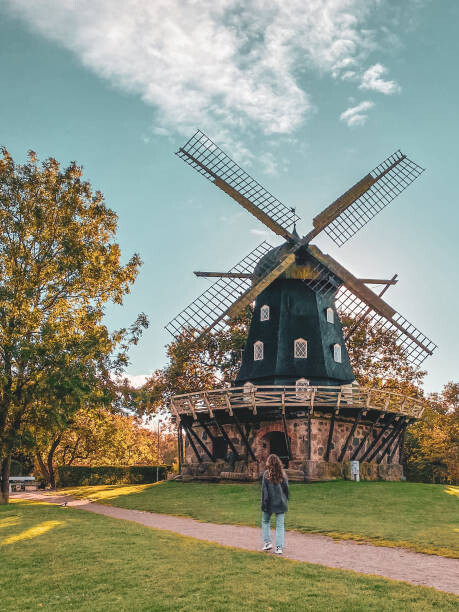 Quadro em tela Old Windmill