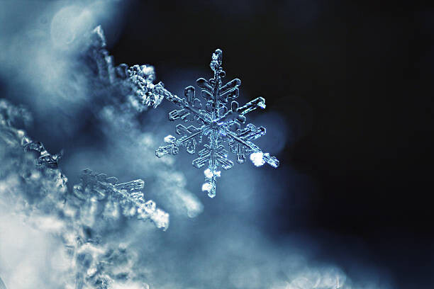 Quadro em tela Real snowflake macro
