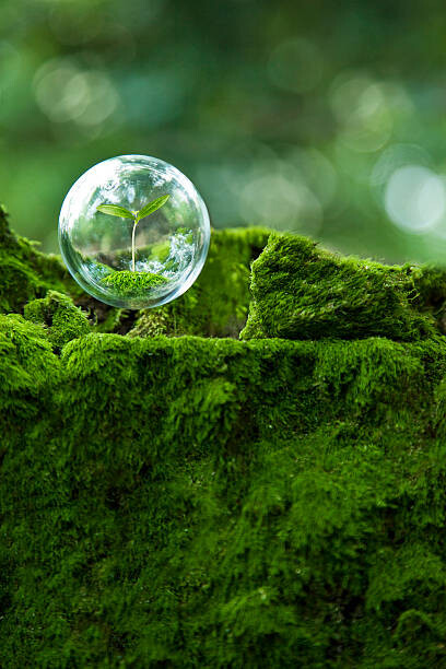 Quadro em tela sprout inside  globe  in the air