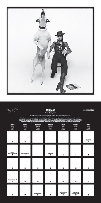 Calendar 2021 Terry O'Neill's Rock 'n' Roll