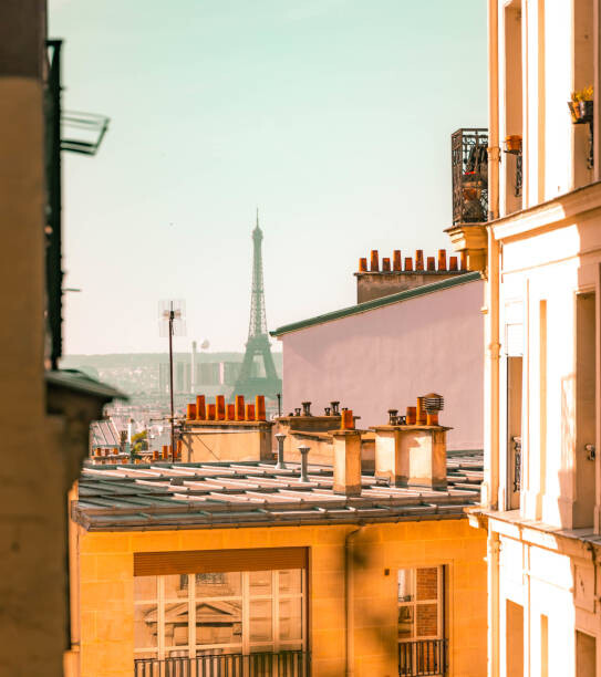 Αυτοκόλλητο The Eiffel Tower seen from the