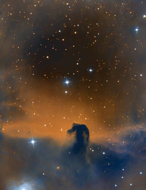 Αυτοκόλλητο The Horsehead Nebula