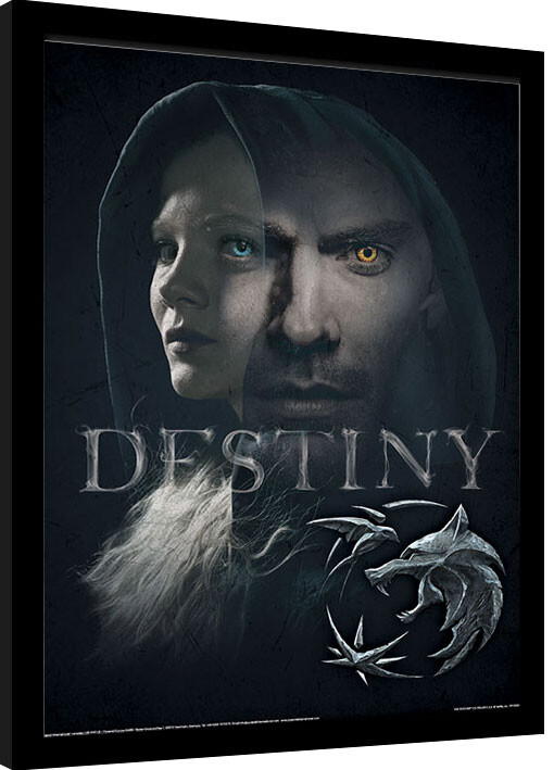 Framed poster The Witcher - Destiny