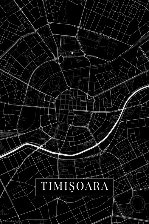Фотошпалери Timisoara black