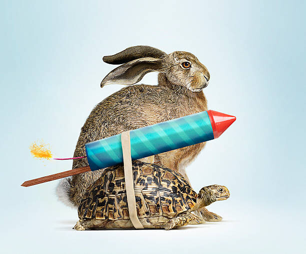 Наклейка Tortoise and Hare