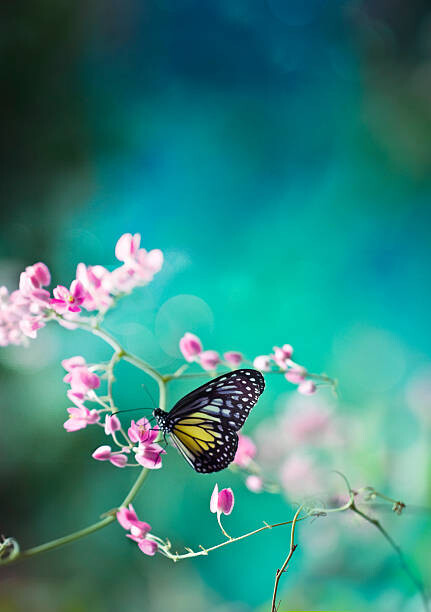 Αυτοκόλλητο Trails of spring