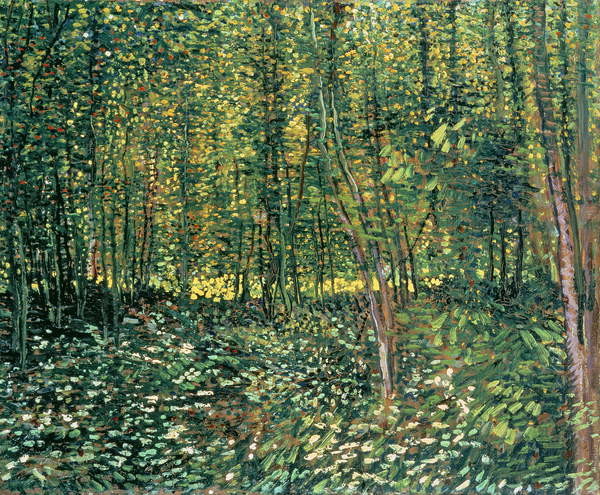 Sticker Trees and Undergrowth, 1887