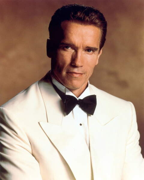 Stenska nalepka True Lies, 1994 - Arnold Schwarzenegger