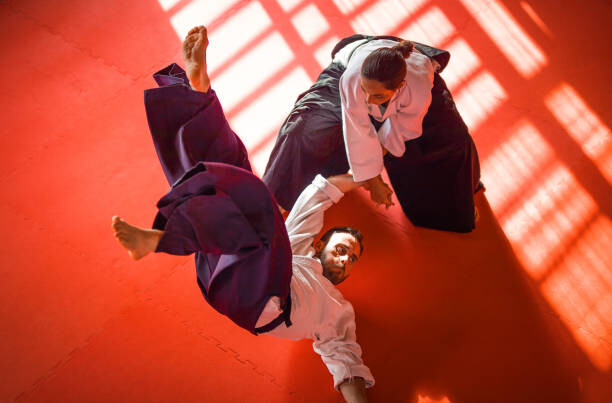 Наклейка Two Aikido Fighters