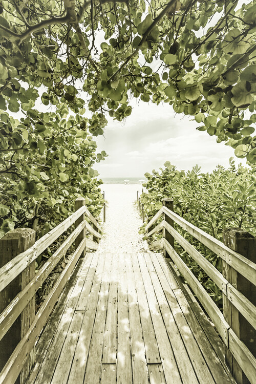Valokuvatapetti Bridge to the beach with mangroves | Vintage
