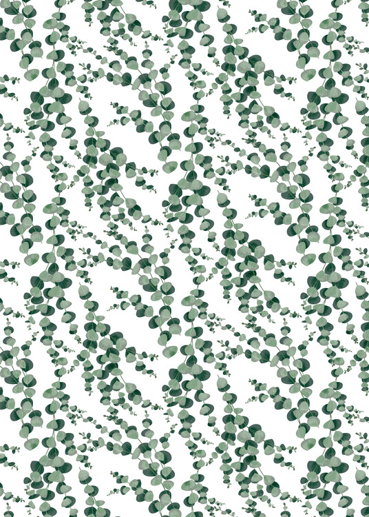Valokuvatapetti Eucalyptus pattern
