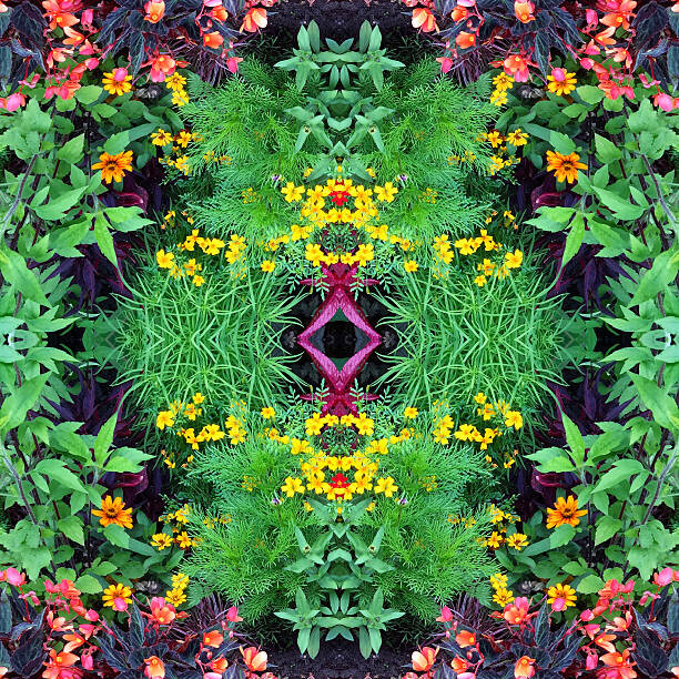 Valokuvatapetti Flower Mandala