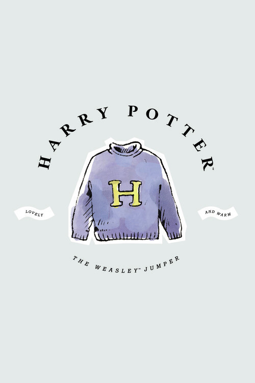 Valokuvatapetti Harry Potter - Warm jumper