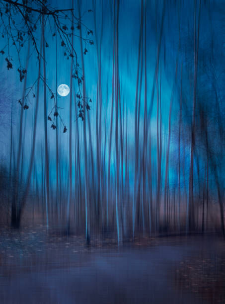 Valokuvatapetti Low angle view of illuminated lights at night