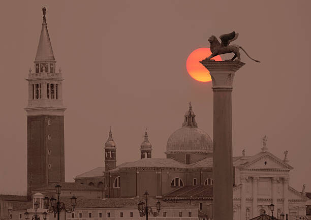 Футболка Venice.
