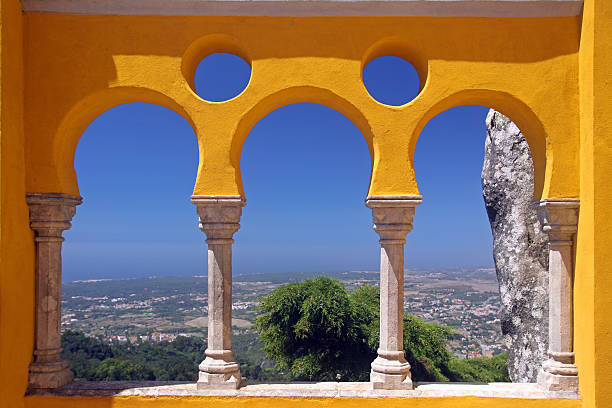 Футболка View from the palace
