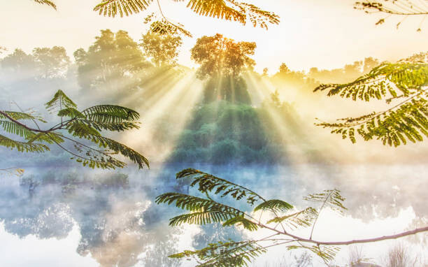 Wall Mural A nature's window showing ethereal beauty