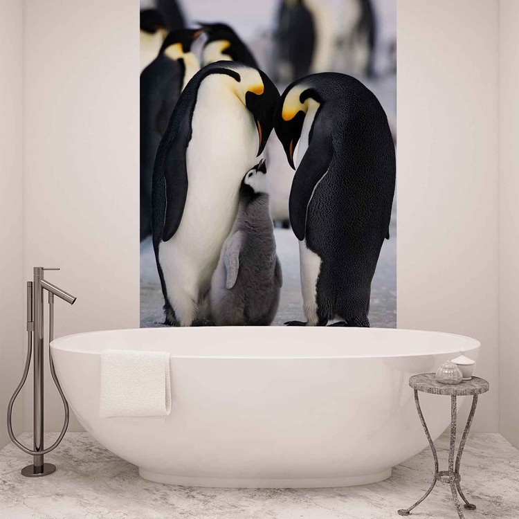 Animals Penguin Wall Paper Mural | Buy at UKposters