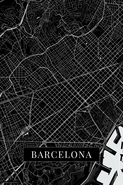 Wall Mural Barcelona black