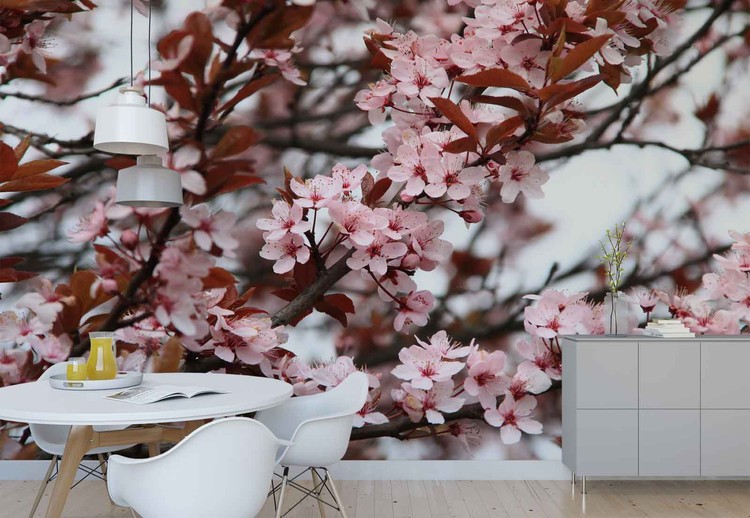 Beautiful Blossoms Wall Paper Mural At Europosters Beautiful Blossoms Wallpaper Mural