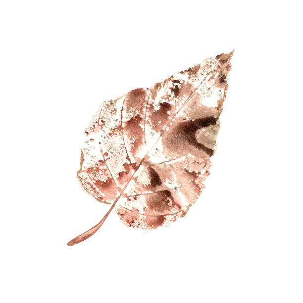 Фототапет Brown Poplar Leaf