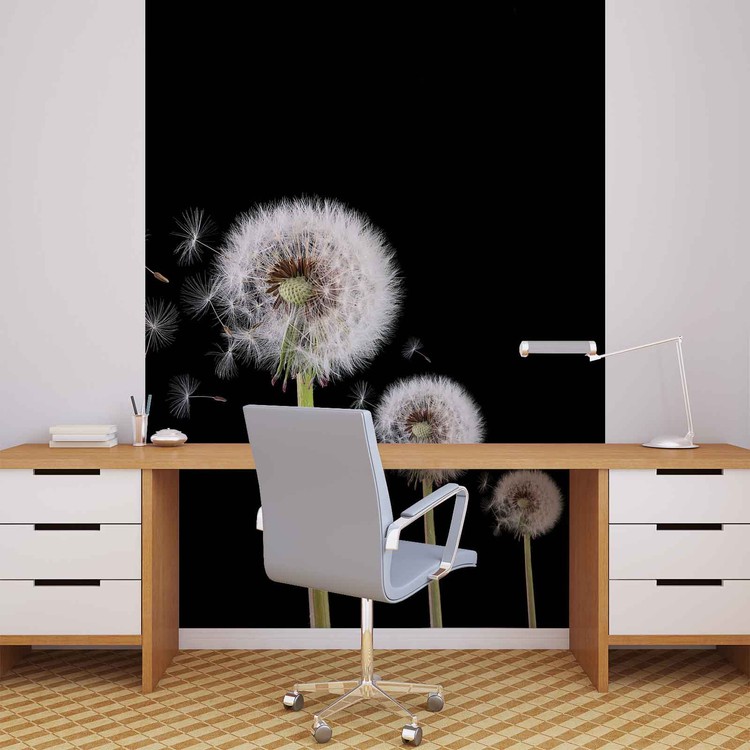 Dandelion Wall Paper Mural Buy at EuroPosters