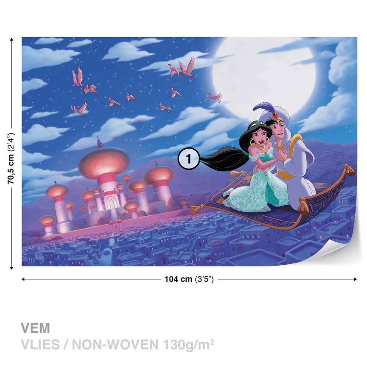 Princess Jasmine poster Home Decor Wall Art Anime poster Fantasy poster