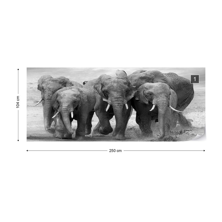Elephants Black And White Animals Wall Paper Mural Buy At