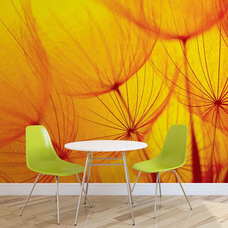 Flower Dandelion Wall Paper Mural Buy at EuroPosters