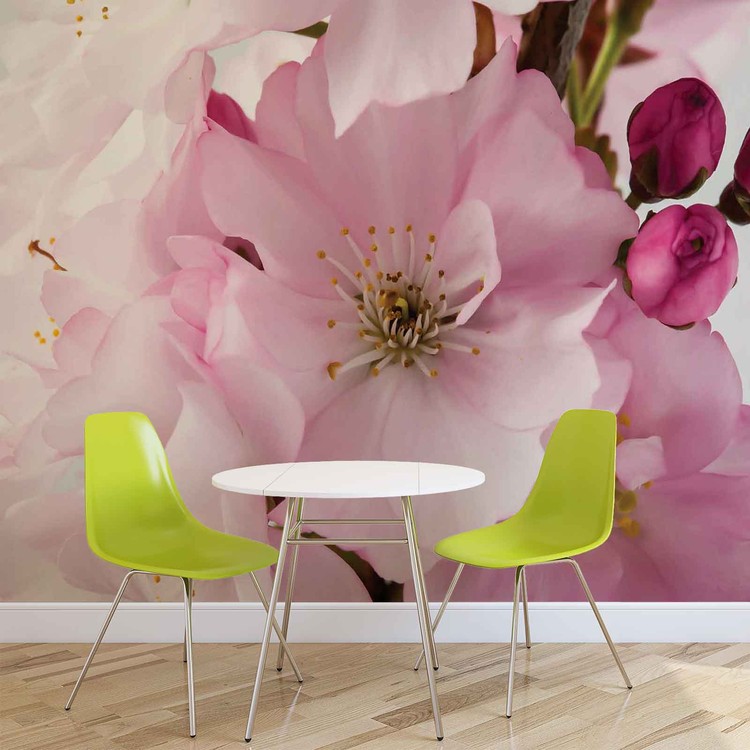 Flowers Blossoms Nature Pink Wallpaper Mural