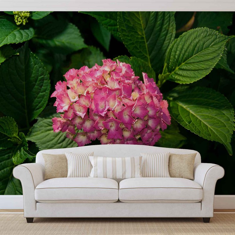 Flowers Hydrangea Pink Wallpaper Mural