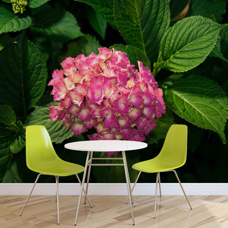 Flowers Mural at Paper Wall Hydrangea | EuroPosters Pink Buy